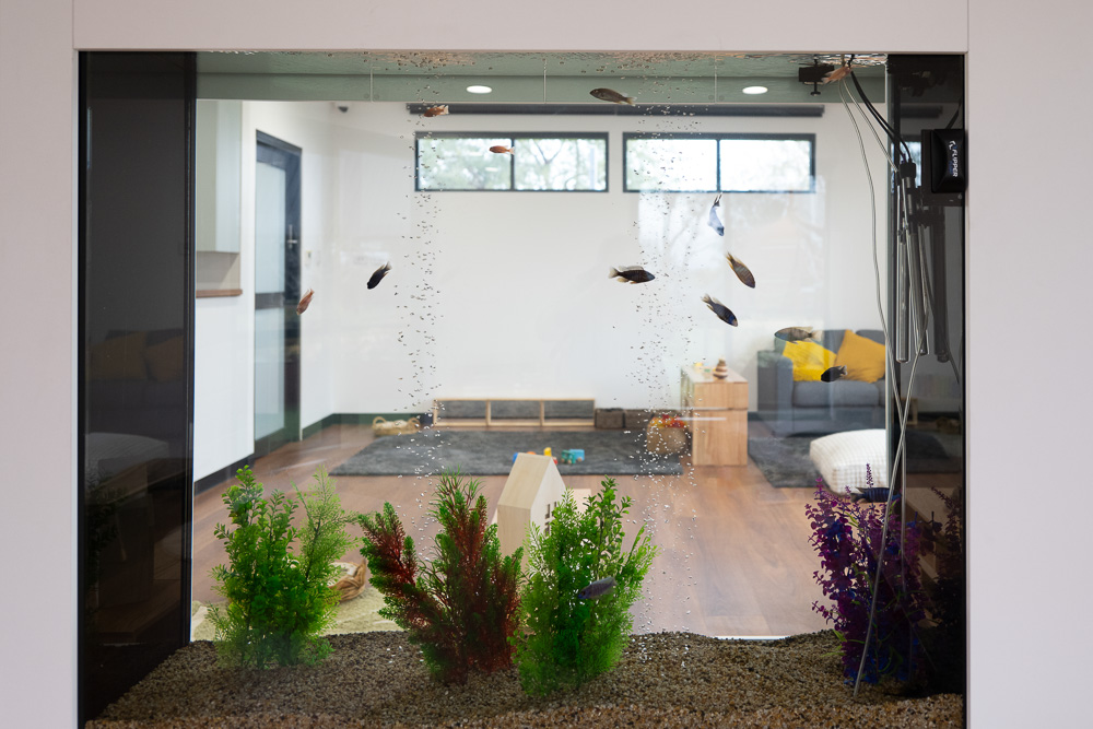 Exploring Tree Cobbitty | 335 Cobbitty Rd, Cobbitty NSW 2570, Australia | Phone: (02) 4601 4999