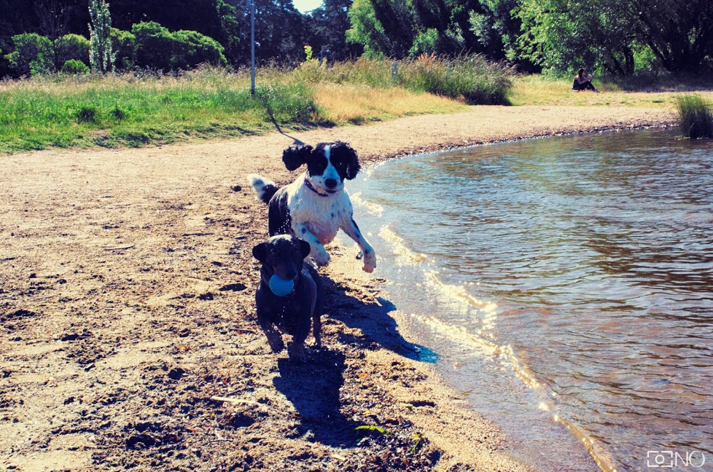 Yarralumla Bay Oval | park | Yarralumla ACT 2600, Australia