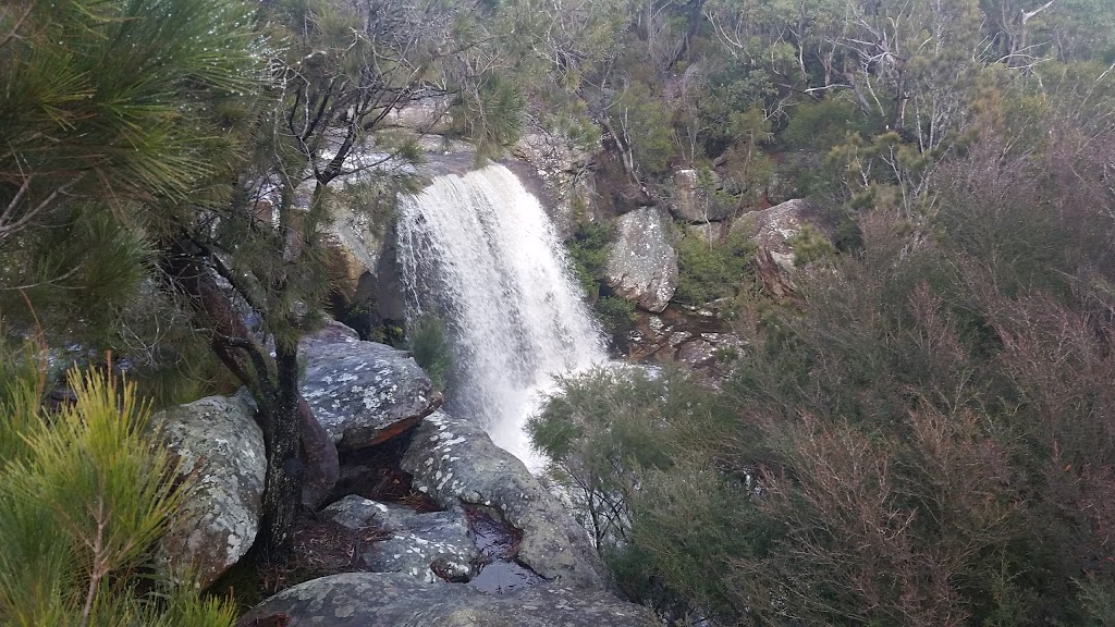 Maddens Falls | park | Madden Falls Track, Darkes Forest NSW 2508, Australia