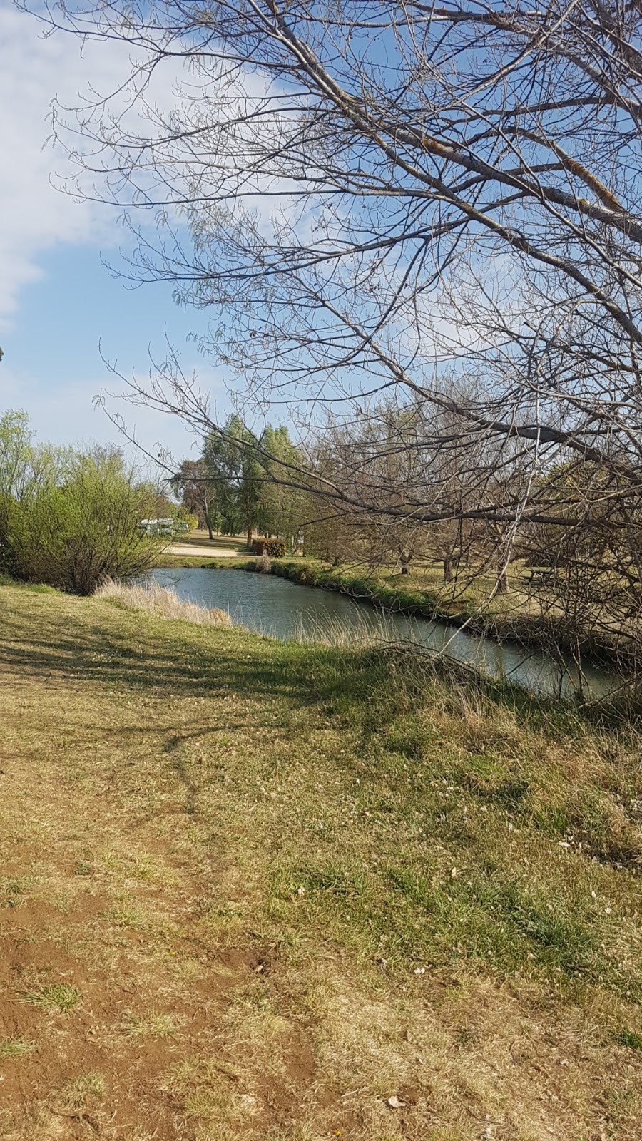 Mother of Ducks Nature Reserve | Guyra NSW 2365, Australia | Phone: (02) 6738 9100