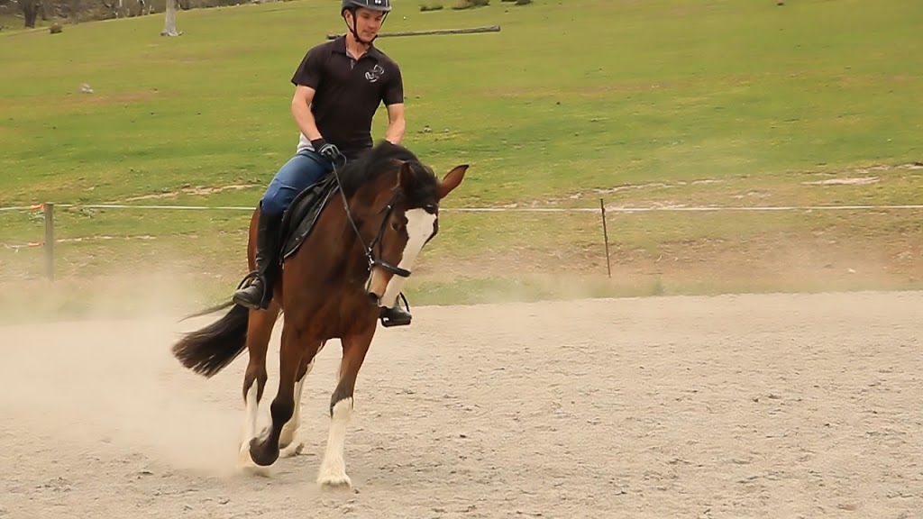 KW Horse Breaking & Training | 62 Double Jump Rd, Victoria Point QLD 4165, Australia | Phone: 0439 536 805