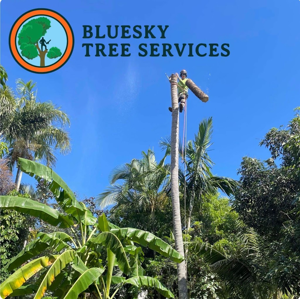 BLUESKY TREE SERVICES PTY LTD | 12 Hayman Ct, Bucasia QLD 4750, Australia | Phone: 0499 290 603