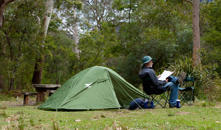 Long Gully campground | campground | Long Gully Track, Yadboro NSW 2539, Australia | 0248877270 OR +61 2 4887 7270