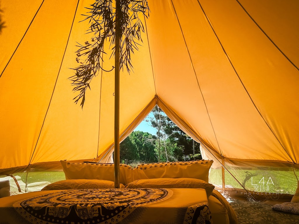 Live 4 Adventure | 32 Flat Rock Rd, Ballina NSW 2478, Australia | Phone: 1300 997 211