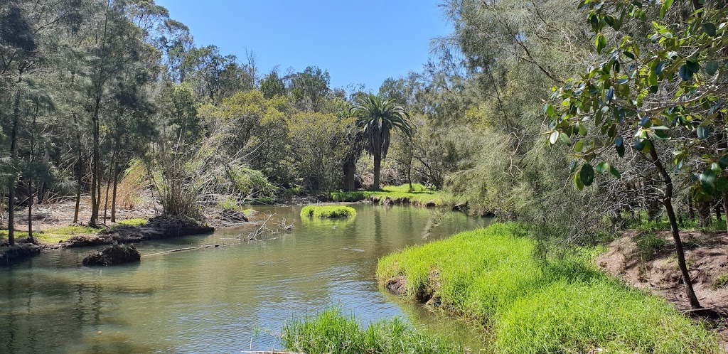 North Arm Walking Track | 30 N Arm Rd, Middle Cove NSW 2068, Australia | Phone: (02) 9777 1000