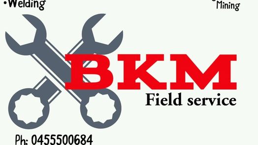 bkm field service and automotive | 6 Adye Ct, Shorewell Park TAS 7320, Australia | Phone: 0455 500 684