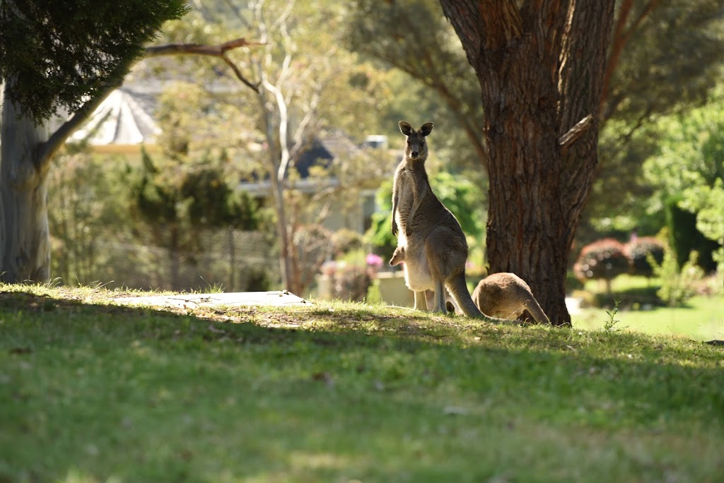 Precious Stories | Unit 2/21 Norfolk Cct, Doncaster VIC 3108, Australia | Phone: 0488 010 440