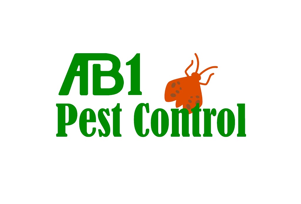 AB1 Termite & Pest Control | 62 Riley St, Oatley NSW 2223, Australia | Phone: 0481 194 619