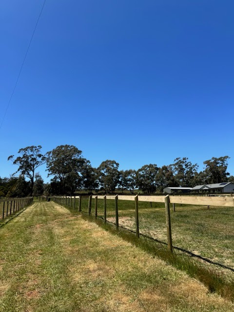 Illoura Equestrian | 1020 Daylesford-Malmsbury Rd, Glenlyon VIC 3461, Australia | Phone: 0421 611 201