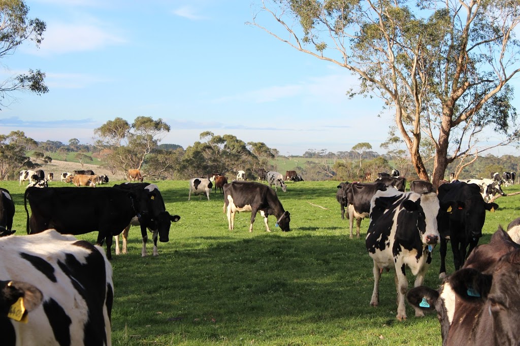 Schulz Organic Dairy - 23 Ford and Fells Rd, Timboon VIC 3268, Australia