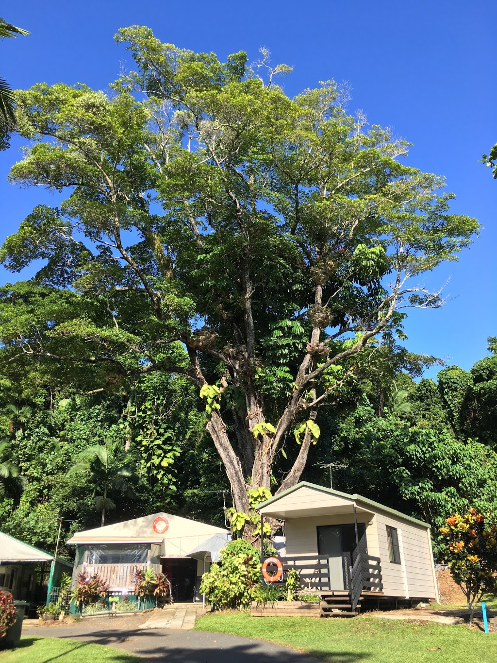 Etty Bay Caravan Park | Etty Bay QLD 4858, Australia