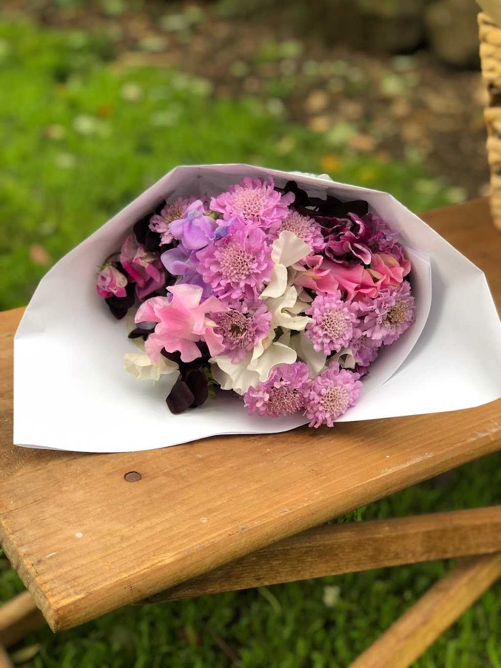 Handpicked Flower Farm | 679 Jancourt Rd, Tandarook VIC 3260, Australia | Phone: 0408 138 969