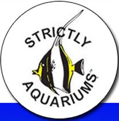 Strictly Aquariums | 18 Blaxland Rd, Campbelltown NSW 2560, Australia | Phone: (02) 4628 2353
