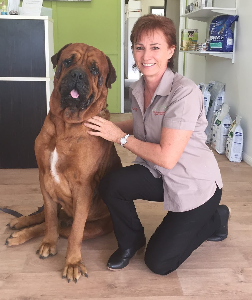 North Queensland Veterinary Service | veterinary care | 47-49 Bruce Hwy, Edmonton QLD 4869, Australia | 0740564600 OR +61 7 4056 4600