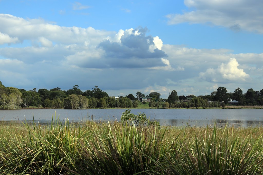 Tygum Lagoon | park | 16 Lagoon Rd, Waterford West QLD 4133, Australia | 0418778322 OR +61 418 778 322
