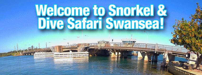 Snorkel & Dive Safari Swansea | travel agency | 2/2 Belmont St, Swansea NSW 2281, Australia | 0249720940 OR +61 2 4972 0940