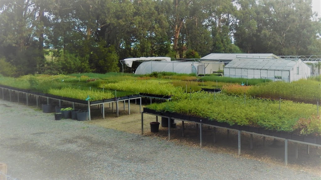 Wildseed Nursery Gippsland |  | 345 Stephenson Rd, Nicholson VIC 3882, Australia | 0419099925 OR +61 419 099 925