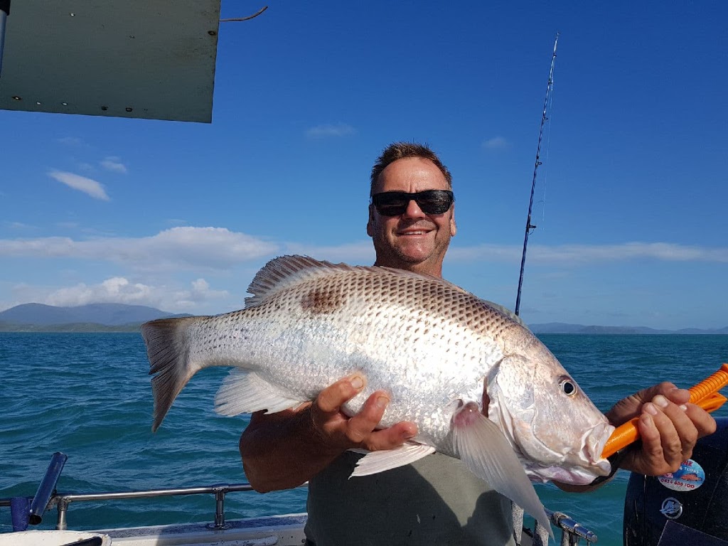 A-One Fishing Charters & Boat Tours | travel agency | 7/9 Salmon St, Cannonvale QLD 4802, Australia | 0424686100 OR +61 424 686 100