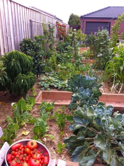 Edible Gardens by Craig Castree | 88 Rowes Rd, Werribee VIC 3030, Australia | Phone: 0411 720 283