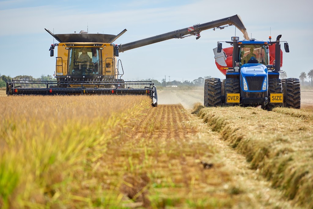 Rice Extension | 1850 Conargo Rd, Jerilderie NSW 2716, Australia | Phone: 0419 174 772