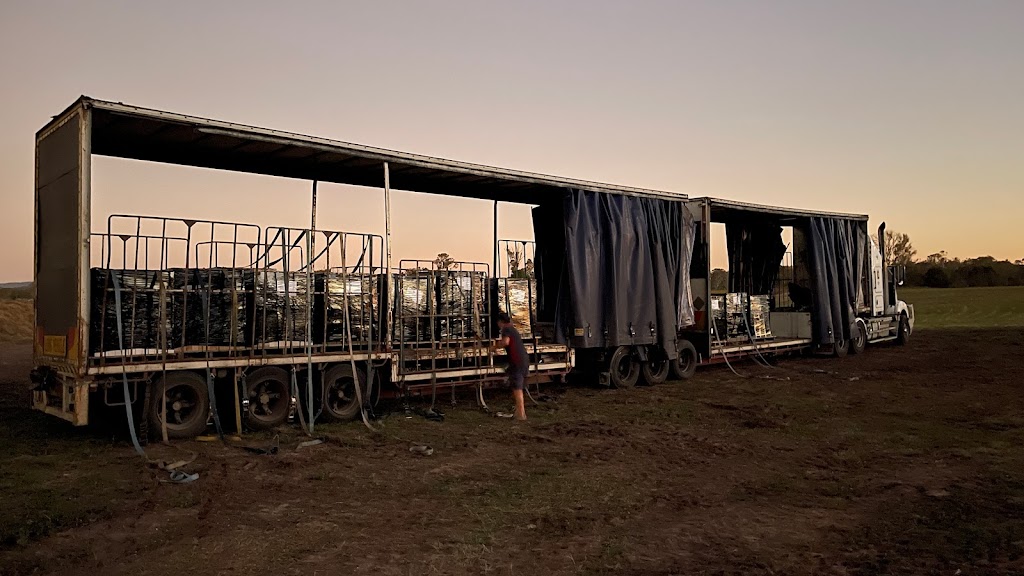 Goldweight | Greenvale Rd, Chambers Flat QLD 4133, Australia | Phone: 0419 794 127