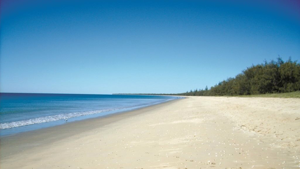 NRMA Woodgate Beach Holiday Park | 88 Esplanade, Woodgate QLD 4660, Australia | Phone: (07) 4126 8802