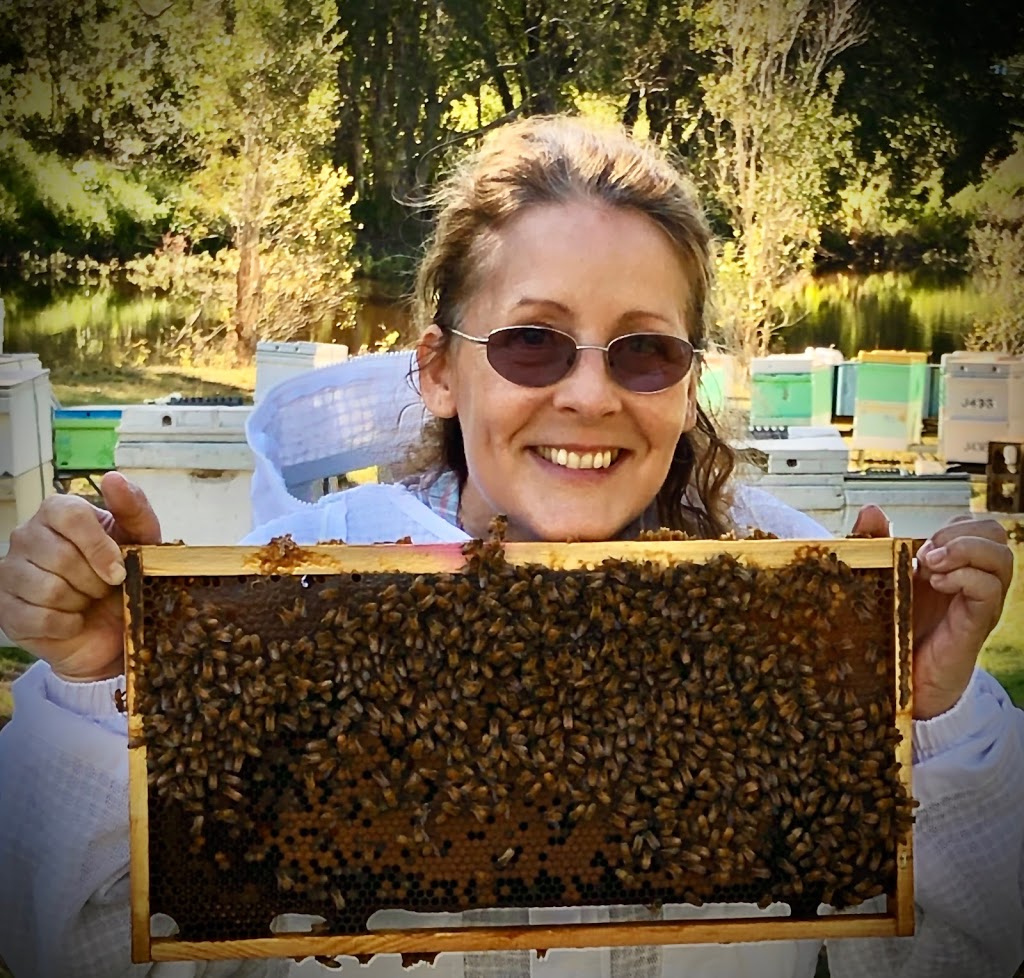 The Bee Lady Apiaries | 146 Fischer Rd, Carbrook QLD 4130, Australia | Phone: 0400 833 017