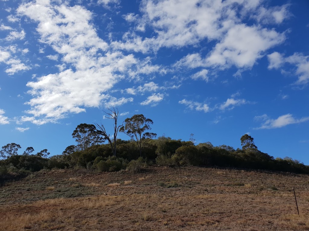 Banksia Garden | park | Caley Dr, Mount Annan NSW 2567, Australia | 0246347900 OR +61 2 4634 7900