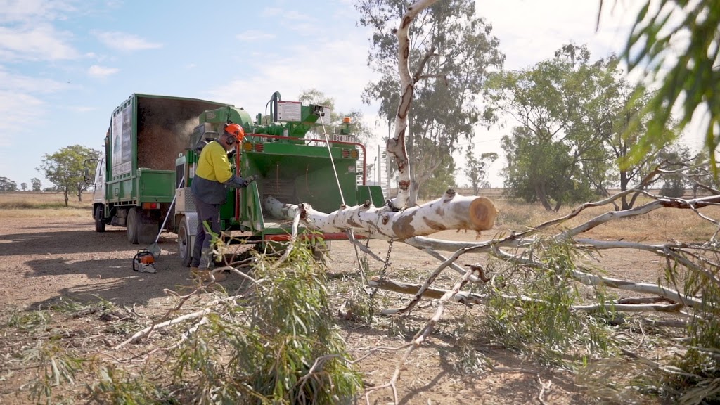 Cut Above Tree Care | 2 Queen St, Roma QLD 4455, Australia | Phone: 0412 303 650