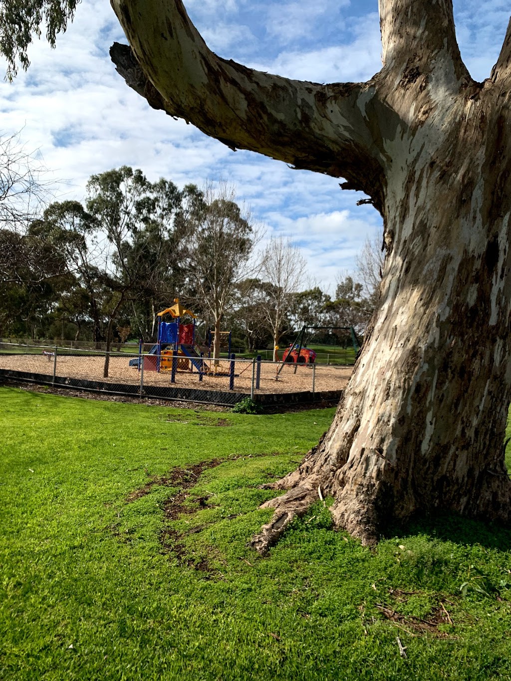 Apex Park | park | Memorial Dr, Padthaway SA 5271, Australia