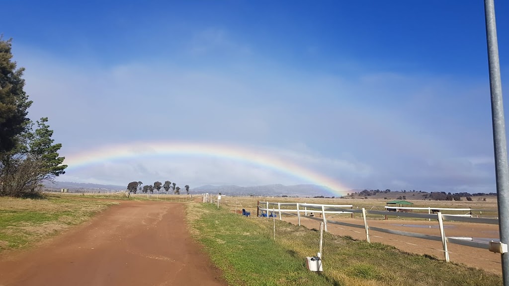 Monaro Park Horse Agistment | 10494 Monaro Hwy, Symonston ACT 2609, Australia | Phone: 0400 151 151