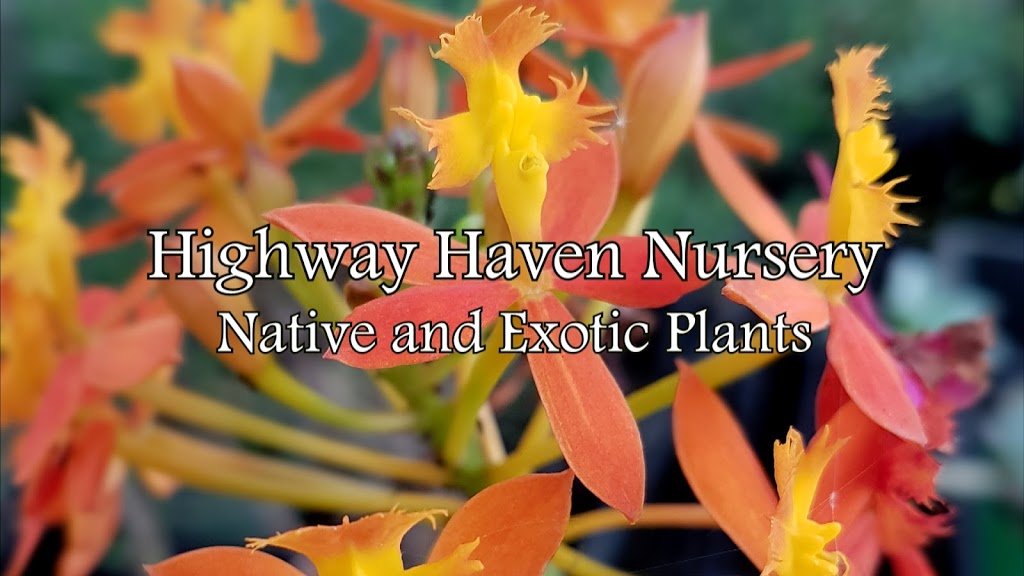 Highway Haven Nursery |  | 17 Paperbark Cl, West Ballina NSW 2478, Australia | 0466956110 OR +61 466 956 110