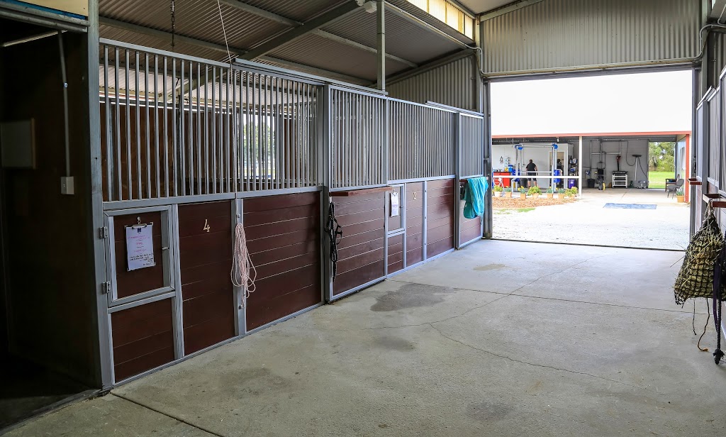Valley Equine Vet Centre | 7 Cathedral Ave, Upper Swan WA 6069, Australia | Phone: (08) 9296 5200