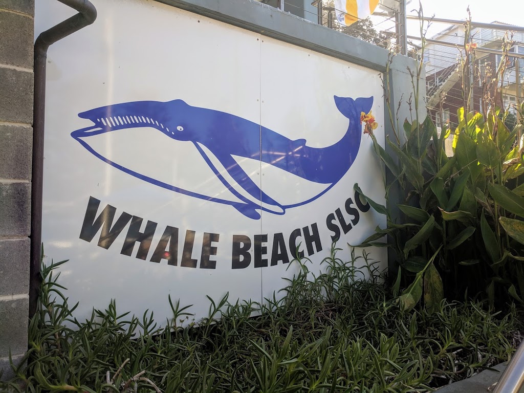 Whale Beach Surf Life Saving Club | 227 Whale Beach Rd, Whale Beach NSW 2107, Australia | Phone: (02) 9974 4944