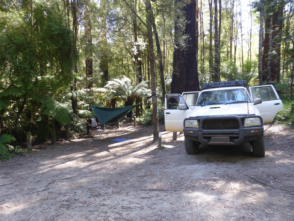 Aire Crossing campsite | campground | Air River Crossing Track Great Otway National Park, Johanna VIC 3238, Australia