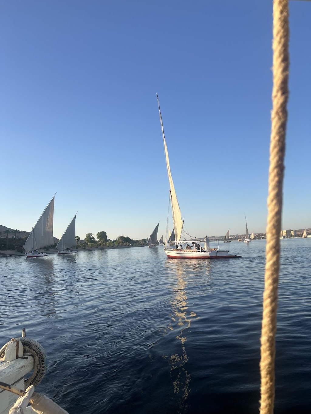 Absolute Egypt | Parcel Collect 10079, 48258/30 Commercial St, Korumburra VIC 3950, Australia | Phone: (03) 5959 1939