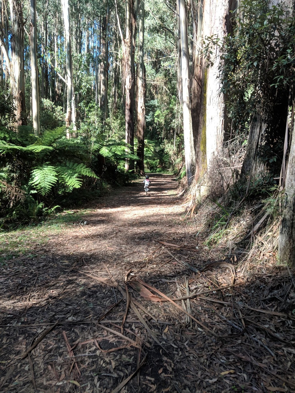 Mathias Walking Track | park | Mathias Rd, Olinda VIC 3788, Australia