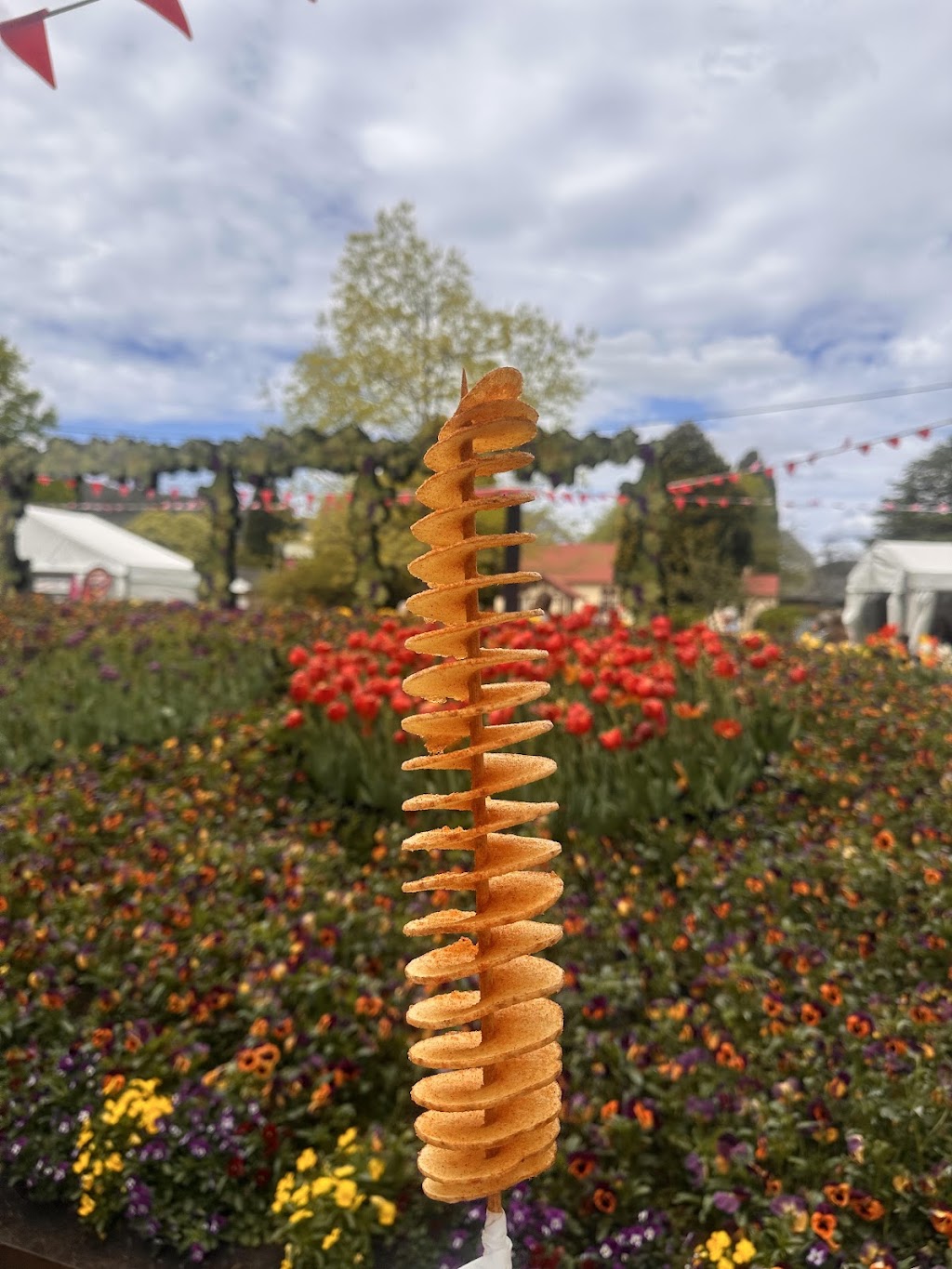 Chips on the Stick by RED TIBBA | Minnesota Rd, Hamlyn Terrace NSW 2259, Australia | Phone: 0470 560 330