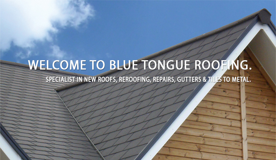 Blue Tongue Roofing | 16 Regent St, Tingira Heights NSW 2290, Australia | Phone: 0419 972 809