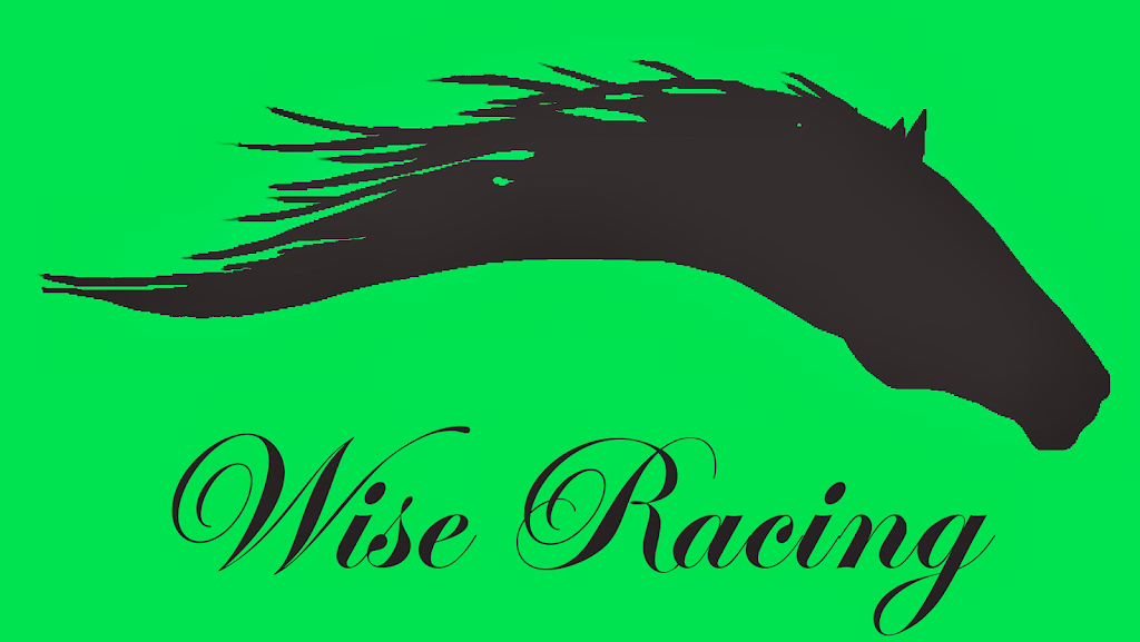 Wise Racing |  | 200 Racecourse Rd, Tygalgah NSW 2484, Australia | 0418435355 OR +61 418 435 355