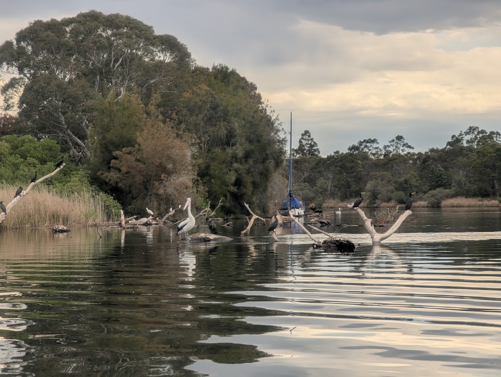 Riverlake Discoveries Waterbike Hire | 190 Rivermouth Rd, Eagle Point VIC 3878, Australia | Phone: 0404 000 626