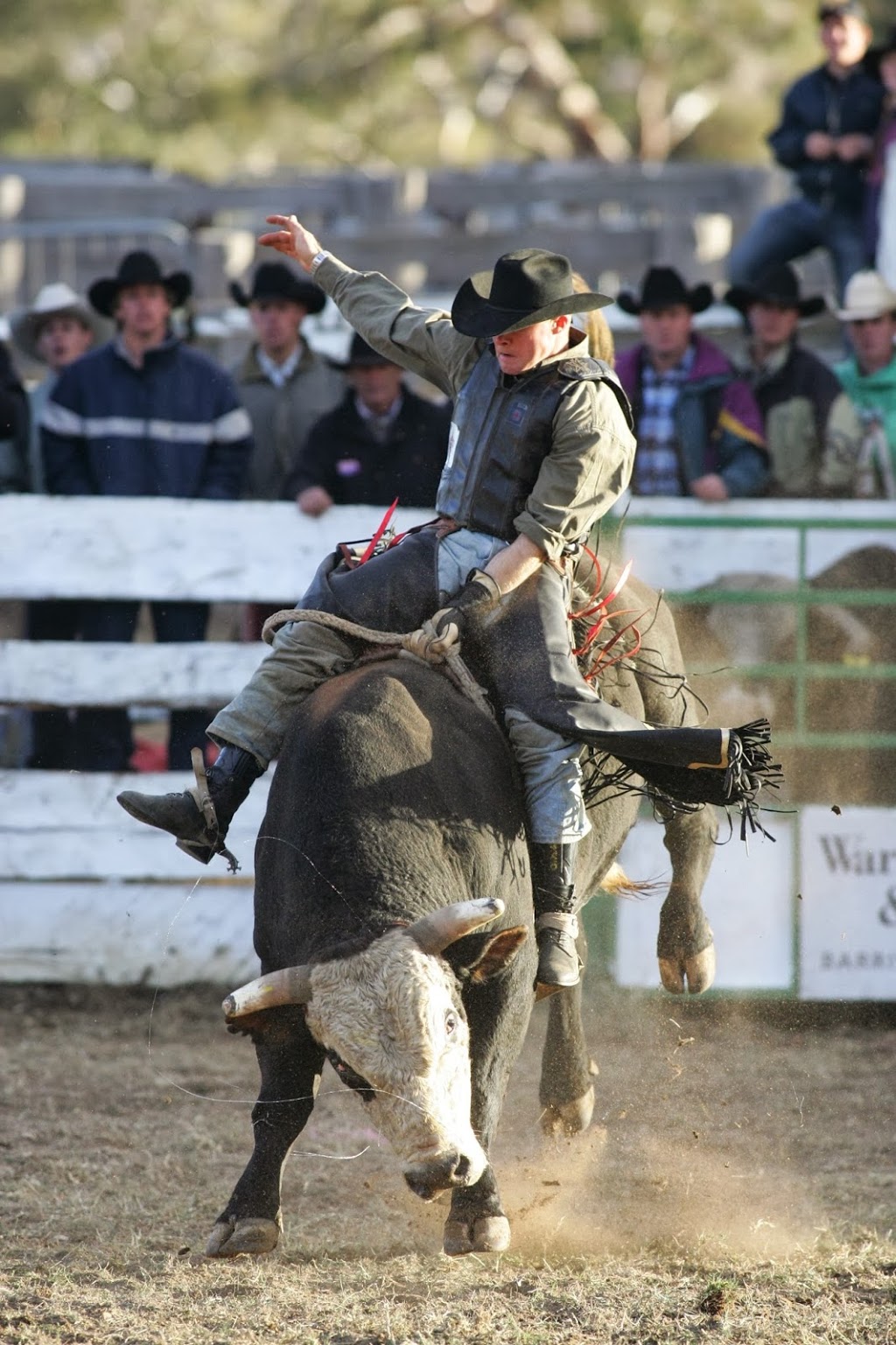 Omeo Rodeo |  | Park St, Omeo VIC 3898, Australia | 0409846771 OR +61 409 846 771