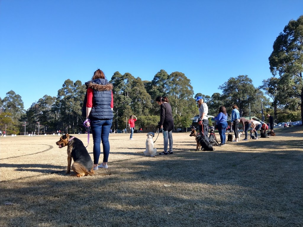 Brush Farm Dog Training Club | school | Brush Farm Park, Cnr Marsden Road and, Lawson St, Eastwood NSW 2122, Australia | 0298018797 OR +61 2 9801 8797