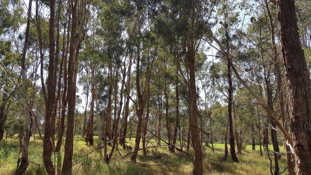 Barak Bushlands Reserve | park | Eltham VIC 3095, Australia