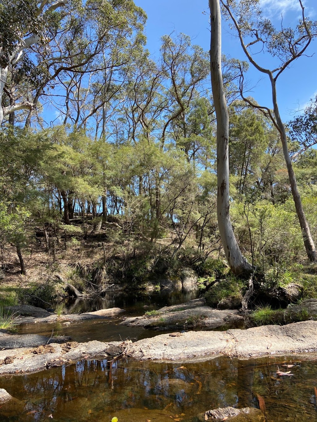 Stonepine Ridge B&B and camping | campground | Wallaroo Range Rd, Willsons Downfall NSW 2372, Australia