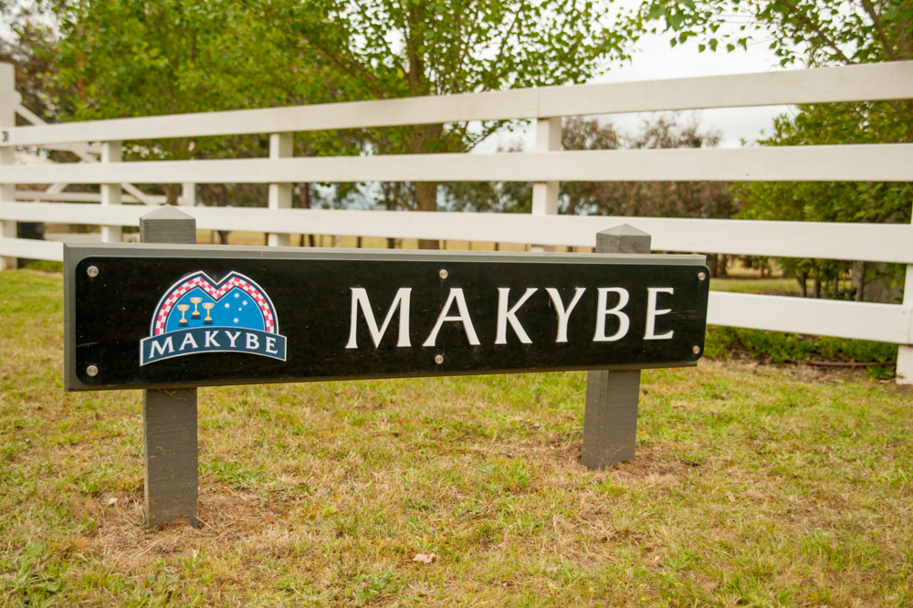 Makybe |  | 38 Gnarwarre Rd, Gnarwarre VIC 3221, Australia | 0352656110 OR +61 3 5265 6110