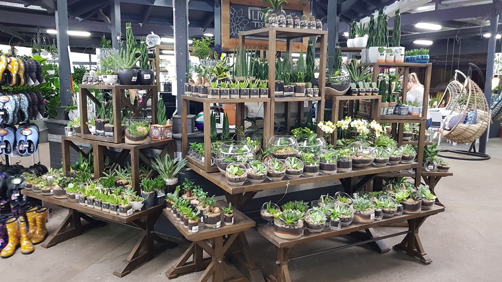 Flower Power Garden Centre Glenhaven | 609 Old Northern Rd, Glenhaven NSW 2156, Australia | Phone: (02) 9634 3411