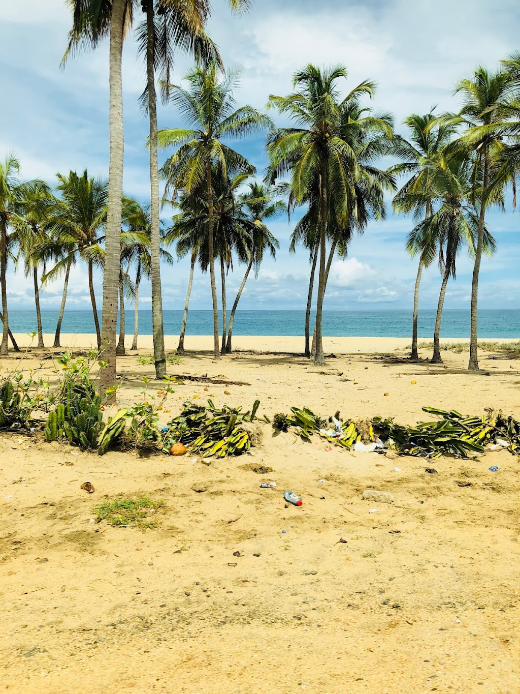 Hentyfarm Wine & Luxury Travel | 250 Wattle Tree Rd, Holgate NSW 2250, Australia | Phone: 0423 029 200