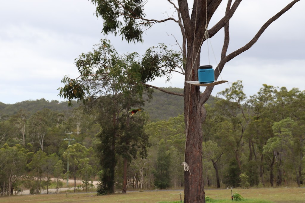 Cozy Cabins | lodging | 171 Baldaw Rd, Captain Creek QLD 4677, Australia | 0404952821 OR +61 404 952 821