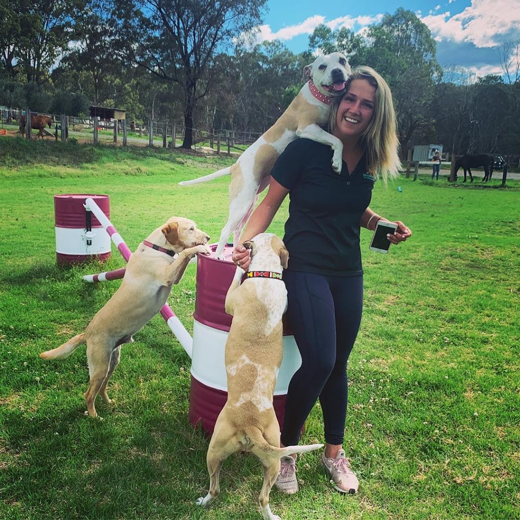 Wagging School Dog Training and Behaviour | Maroney Rd, Mangrove Mountain NSW 2250, Australia | Phone: 0421 752 696